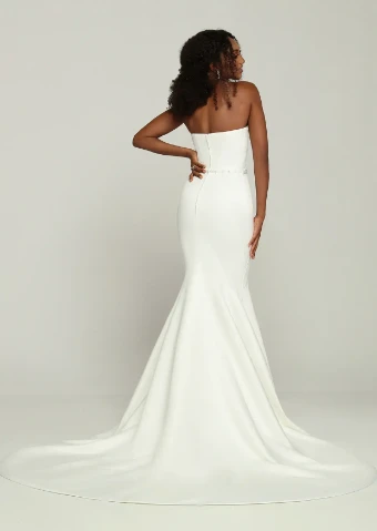 Davinci Bridal  Style No. 50707 #4 thumbnail