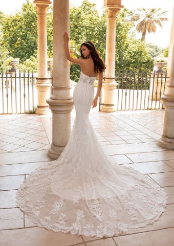 Pronovias Style No. Ermin #5 thumbnail